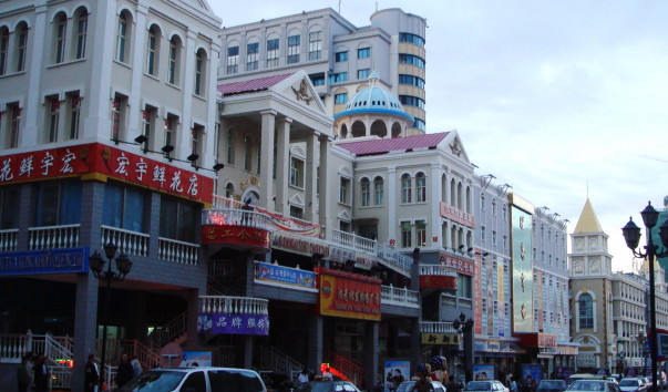 DSC03565