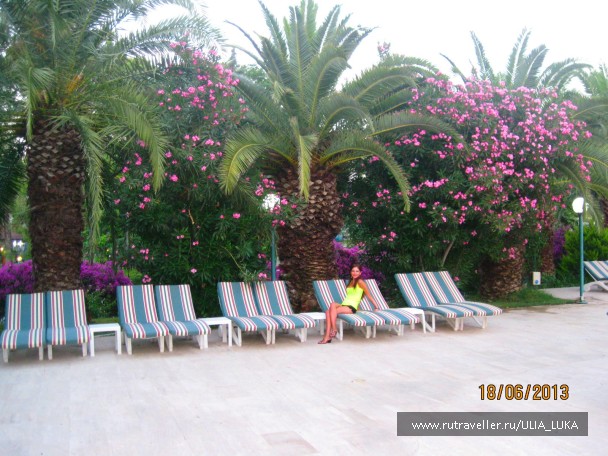 photo 407688