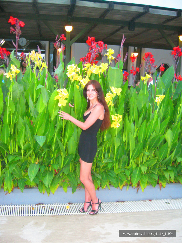 photo 407697