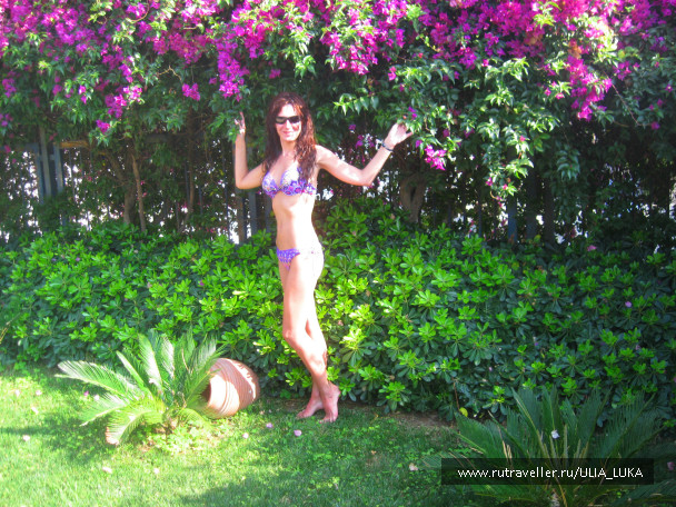 photo 407698