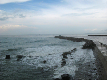 photo 566255