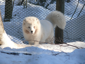 photo 553283