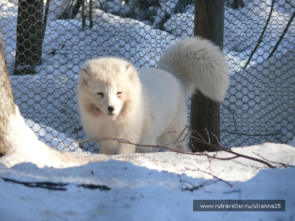 photo 553283