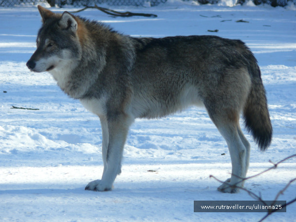 photo 553284