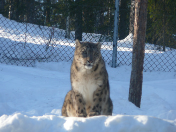 photo 553286