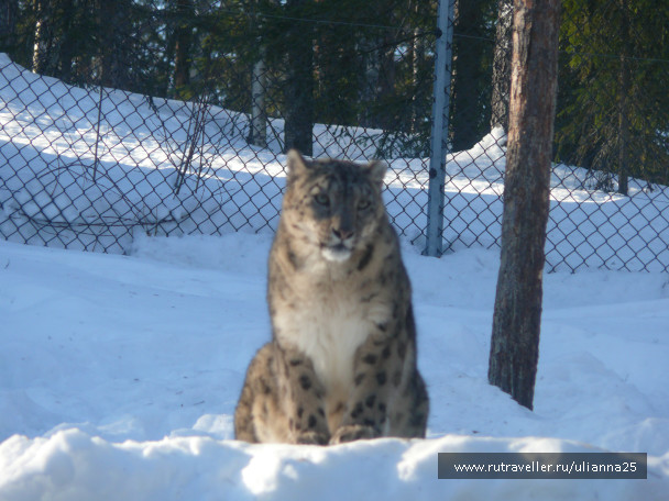 photo 553286