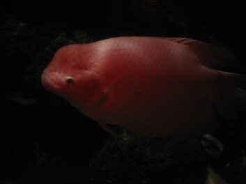 photo 579968