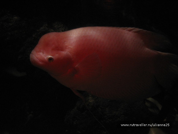photo 579968