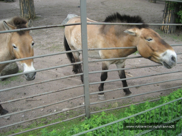 photo 580783
