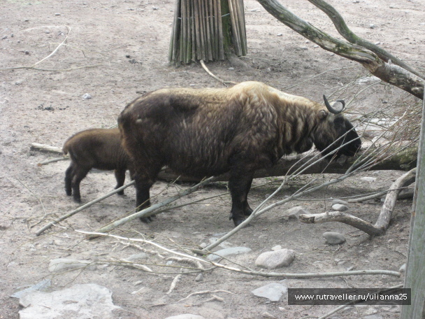 photo 580784