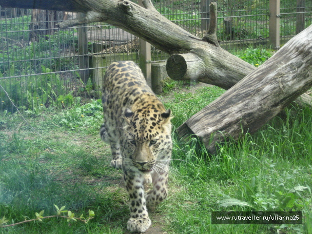 photo 580786