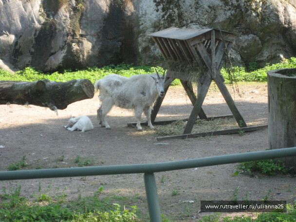 photo 580790