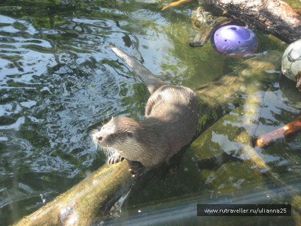 photo 580792