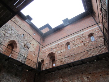 photo 582635