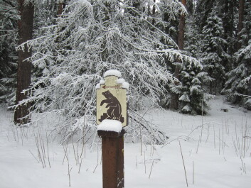 photo 582742