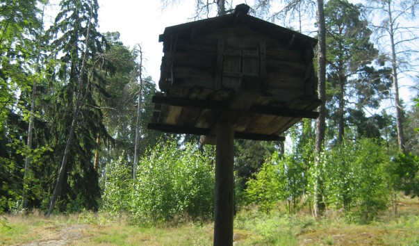 Остров Сеурасаари.