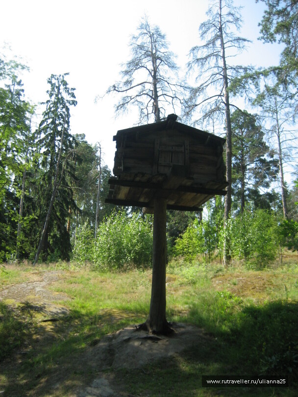 photo 582747