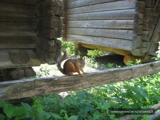 photo 582753