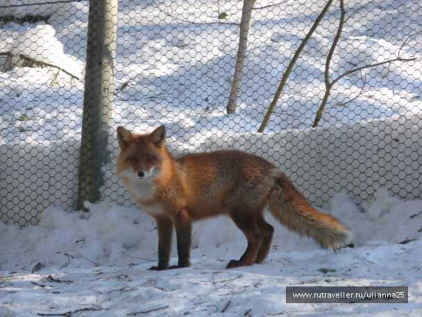 photo 587184