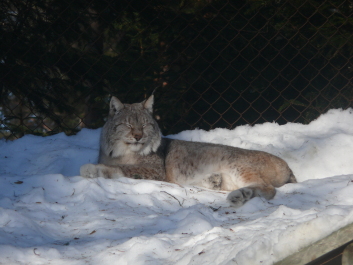 photo 587187
