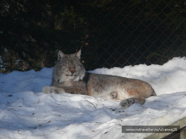 photo 587187