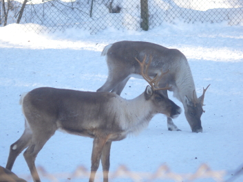 photo 587188