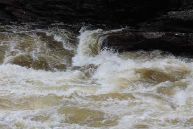 photo 679288