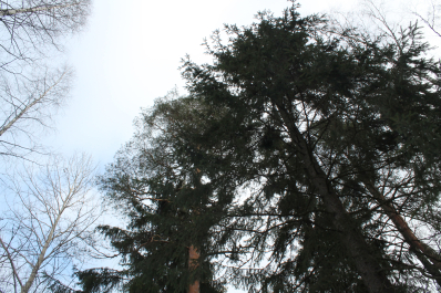 photo 679299