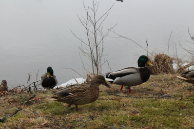 photo 679301