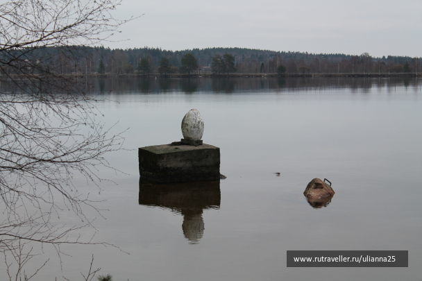 photo 679317