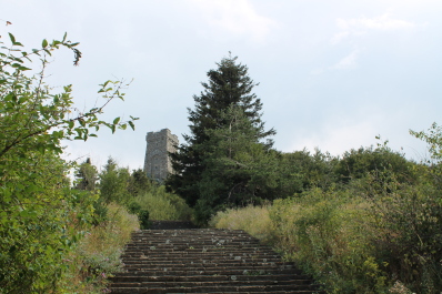 photo 577843