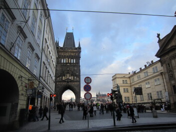 photo 573654