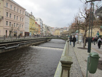 photo 574710
