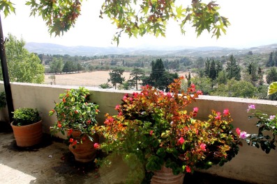 photo 1412312