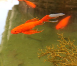 photo 1412313
