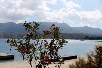 photo 1412447