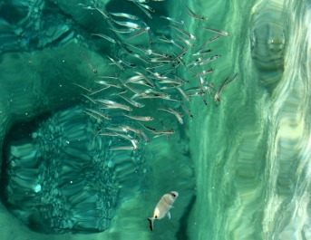 photo 1412452