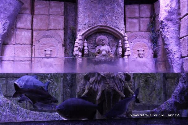 photo 1305961