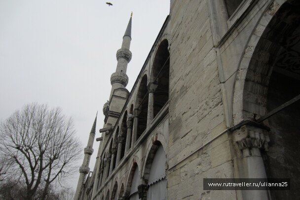 photo 575226