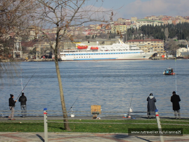 photo 575897