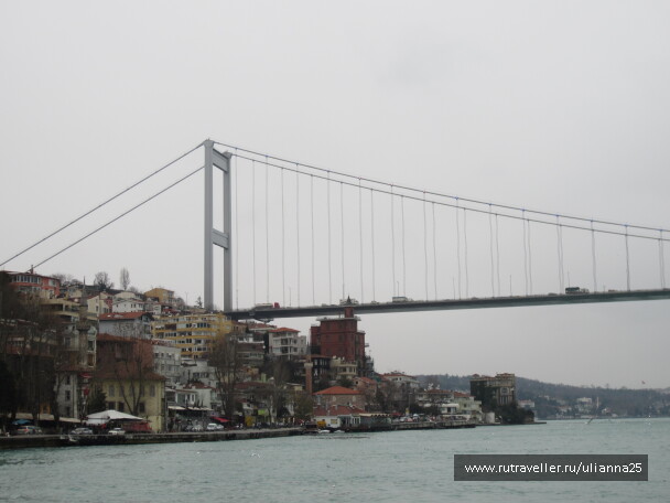 photo 575899