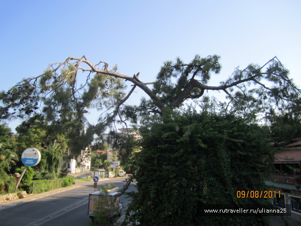 photo 576713