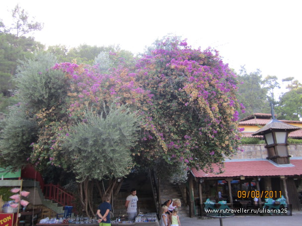 photo 576715