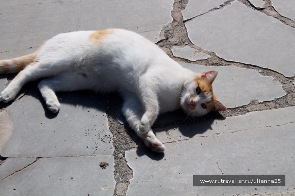 photo 1412507