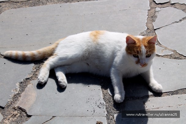 photo 1412508