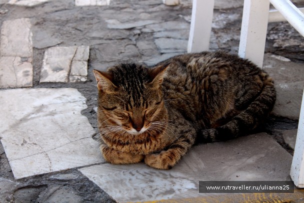 photo 1412509