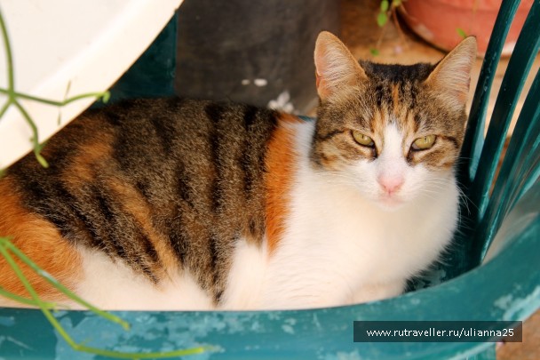 photo 1412512