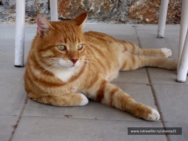 photo 1412516
