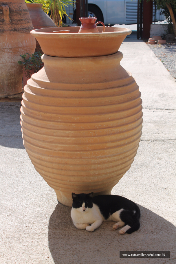 photo 1412522