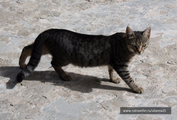photo 1412523